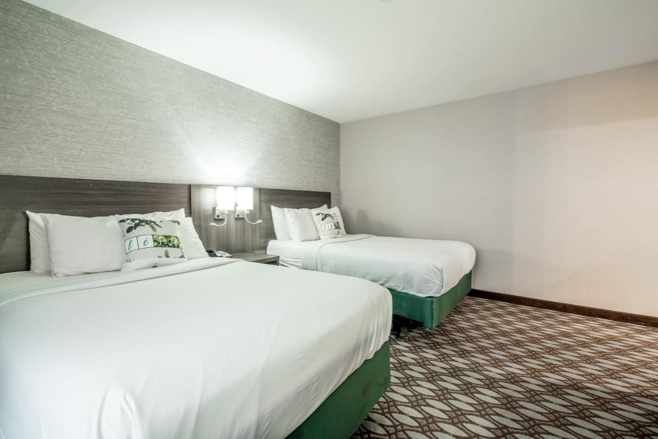 Letap Hotel Near Airtrain Jfk Airport New York Dış mekan fotoğraf